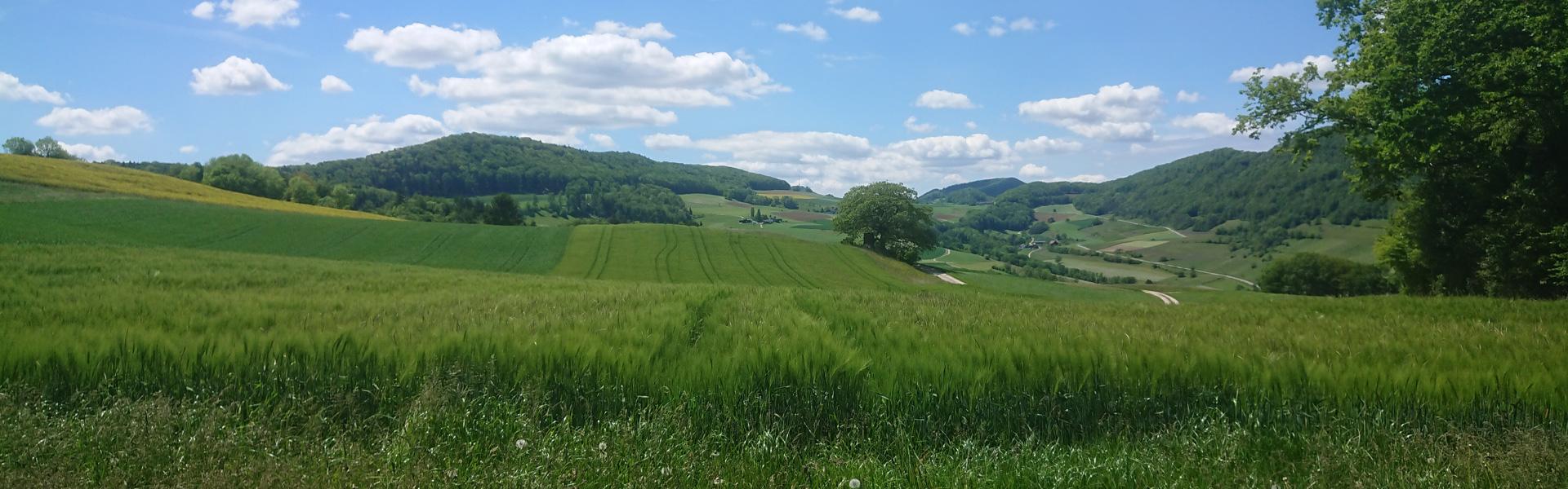 Landwirtschaftliche Lohnarbeiten Aarau, Brugg, Fricktal und Umgebung 5