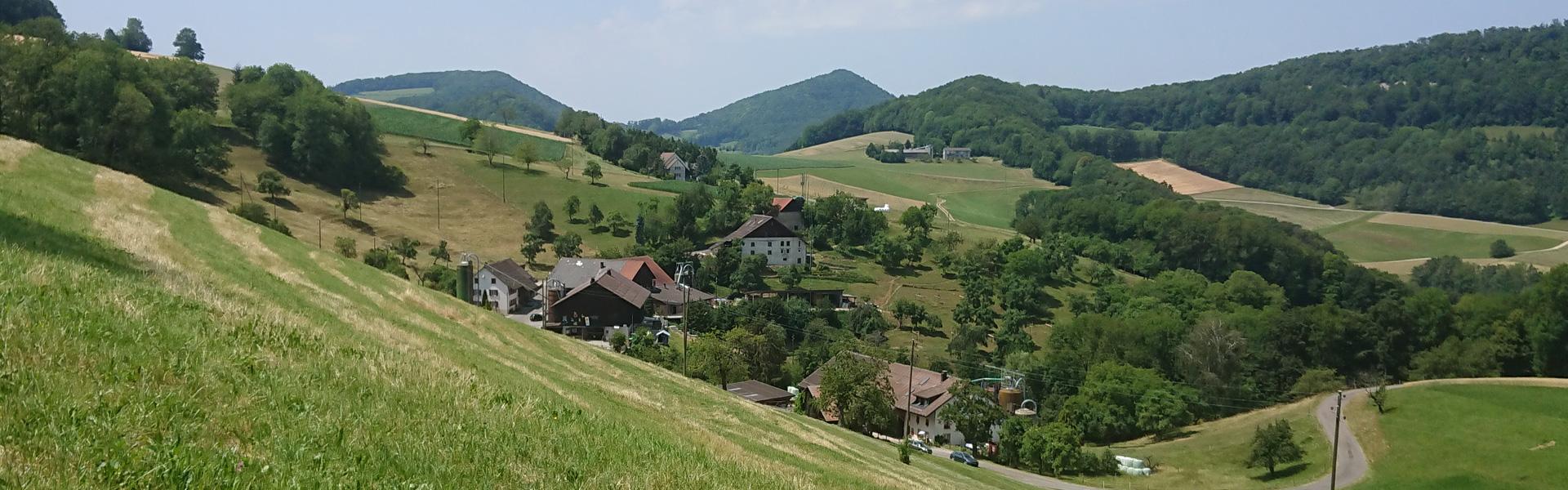 Landwirtschaftliche Lohnarbeiten Aarau, Brugg, Fricktal und Umgebung 